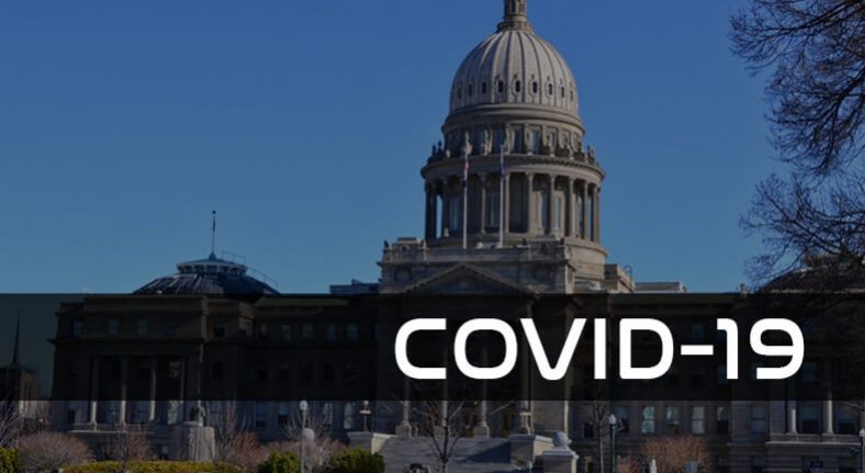 covid 19